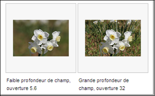 Profondeur de champ