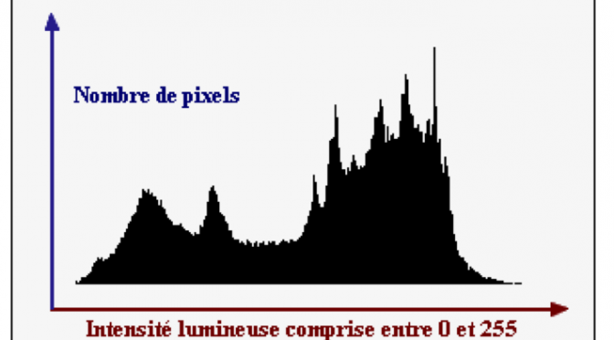 Histogramme