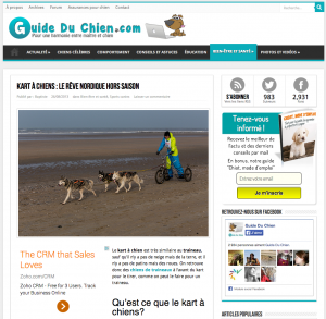 Kart_à_chiens___le_rêve_nordique_hors_saison