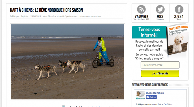 Kart à chiens