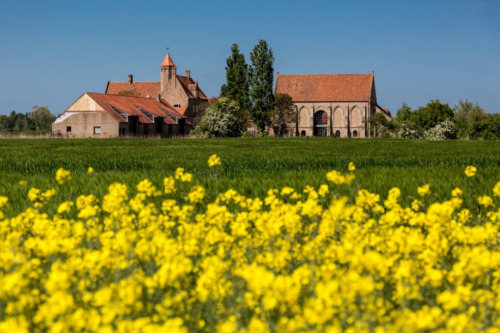 Printemps dans le Westhoek