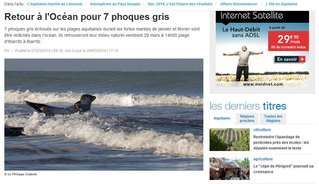 FR3 Aquitaine : Phoques