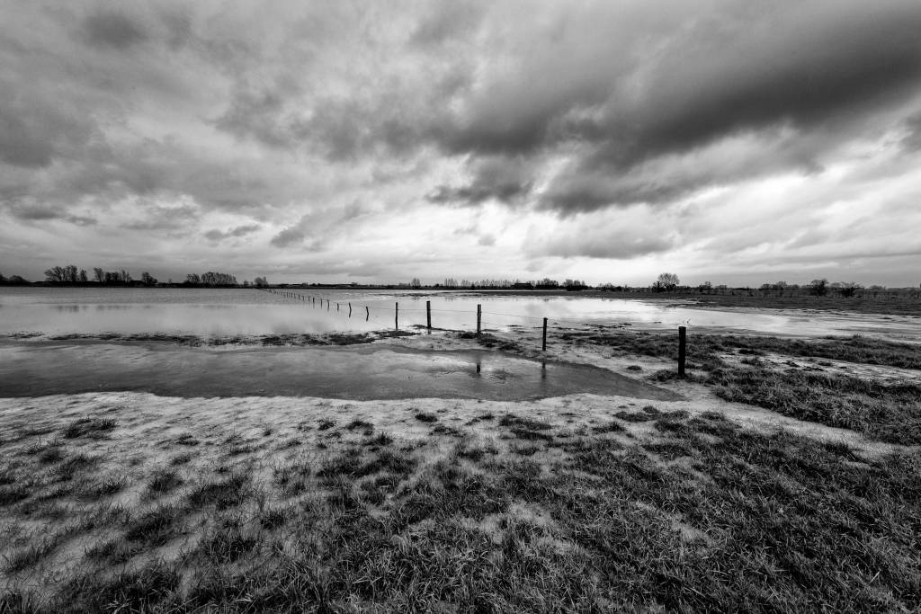 Flooded Flanders Fields