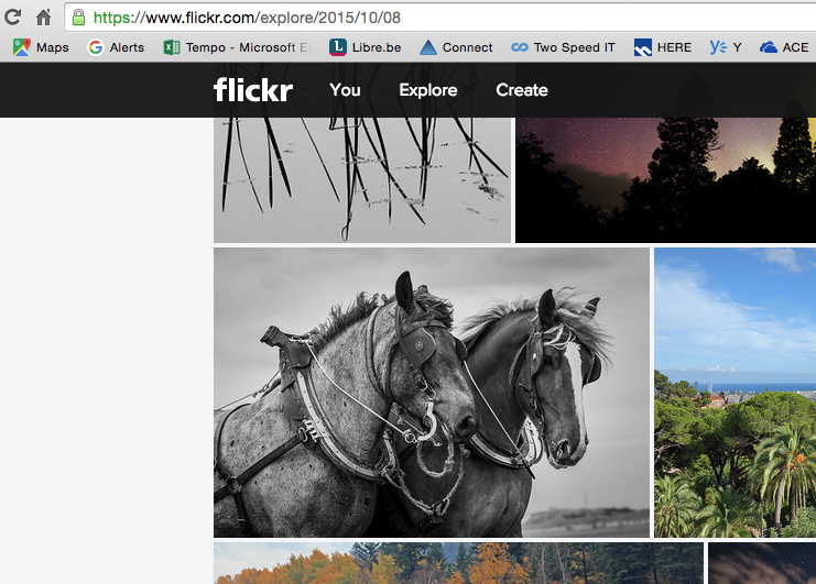 Flickr Explore 8/10/2015 : Pêche de crevettes à cheval
