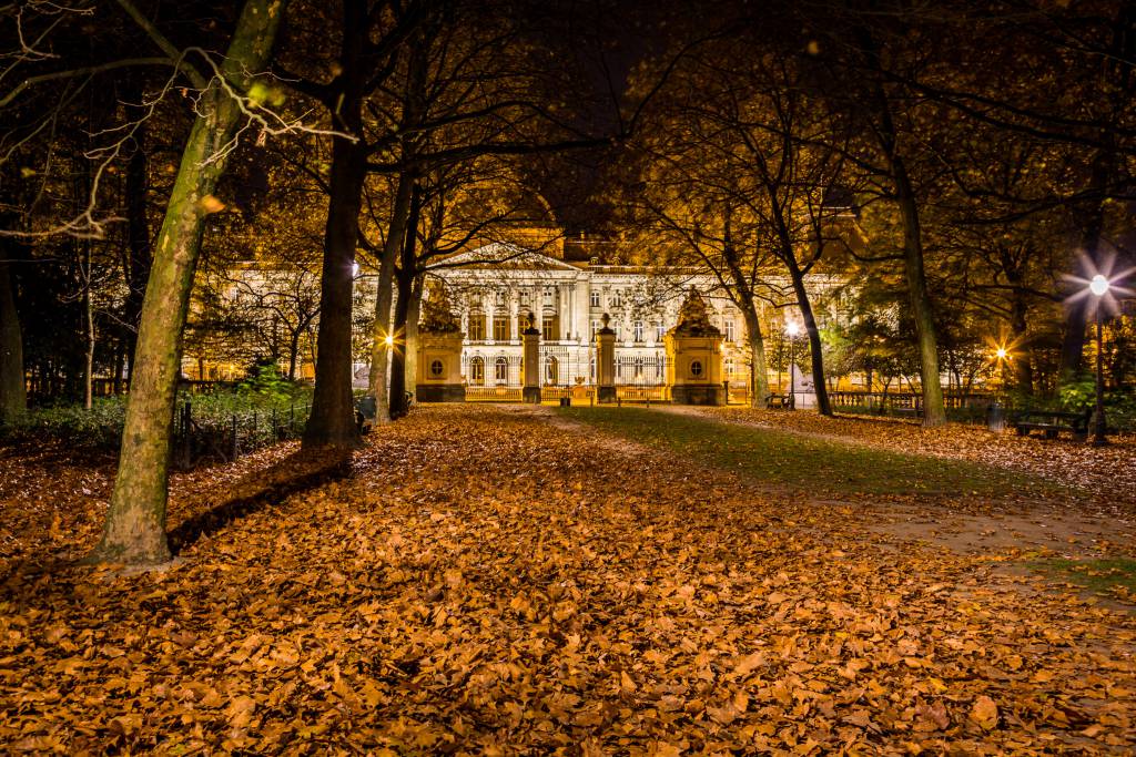 Brussels by Night