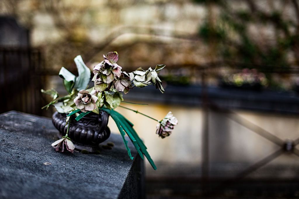 Fleurs de Cimetière