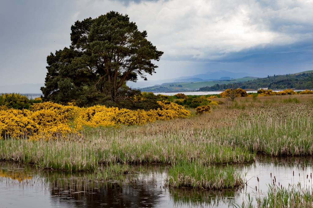 Ecosse – Tomatin