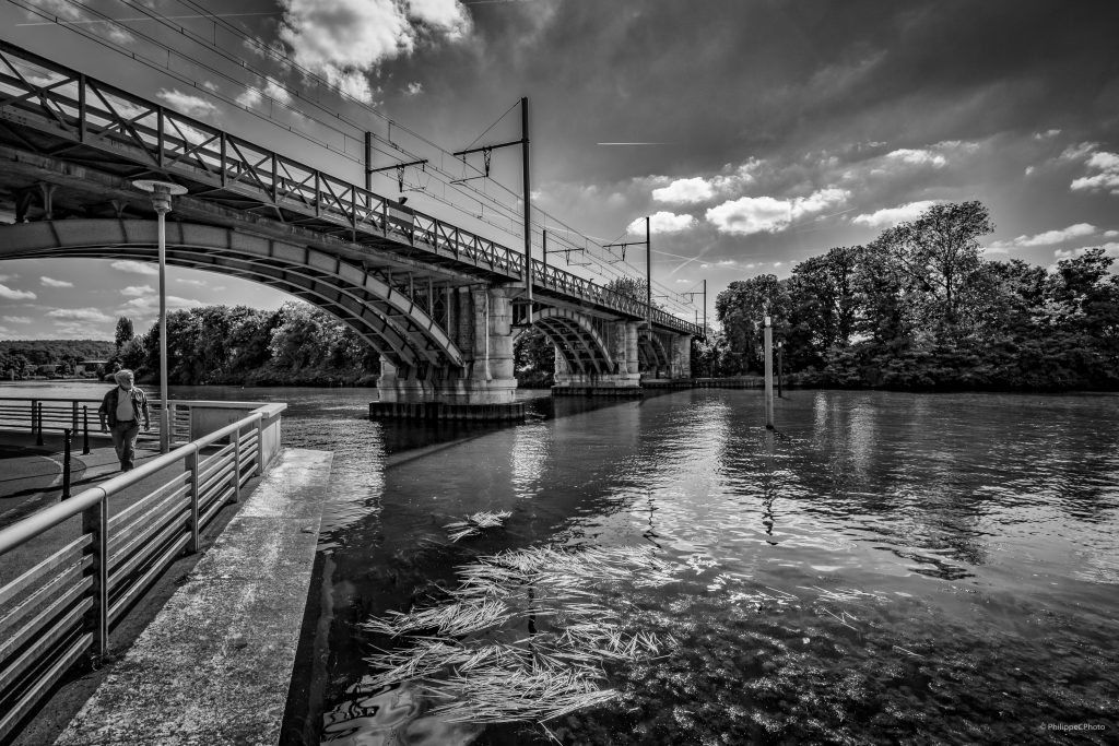 Bords de Seine