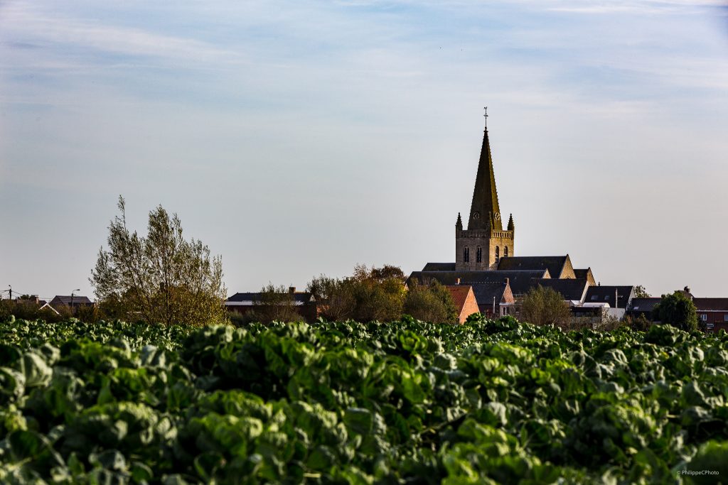 Wandelpad Vleteren