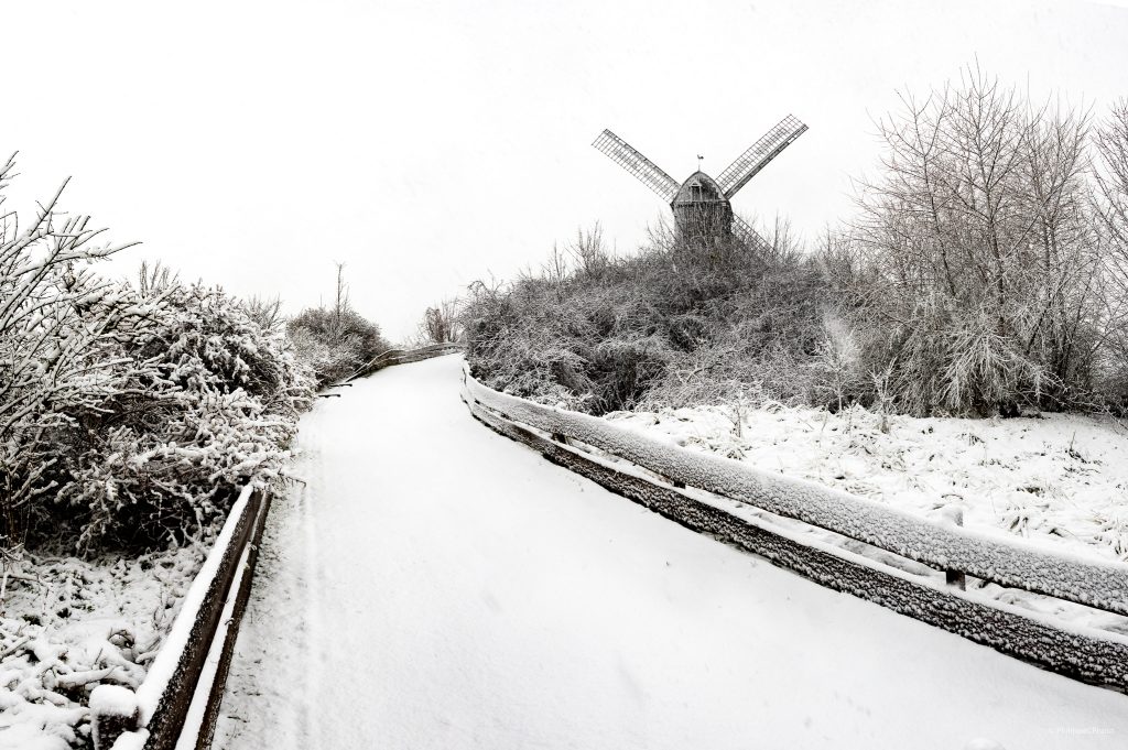 Snowy Koksijde