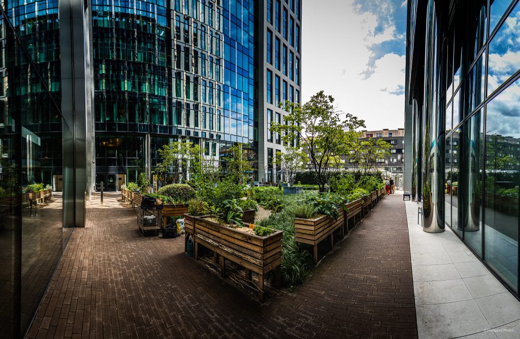Potager Urbain #06 Engie Towers Brussels