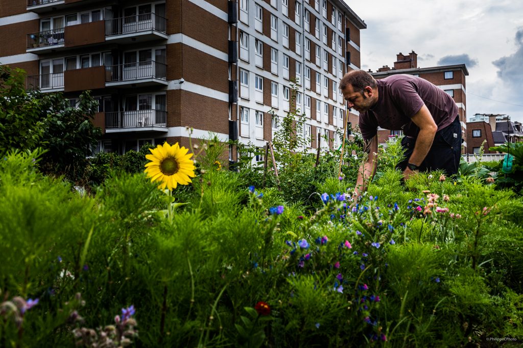 Potager Urbain #14 Velt Koekelberg