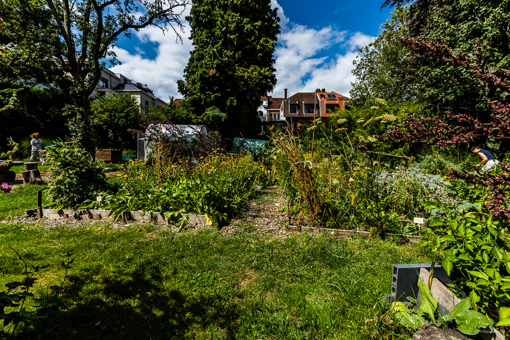 Potager Urbain #11 Jardin de Neptune