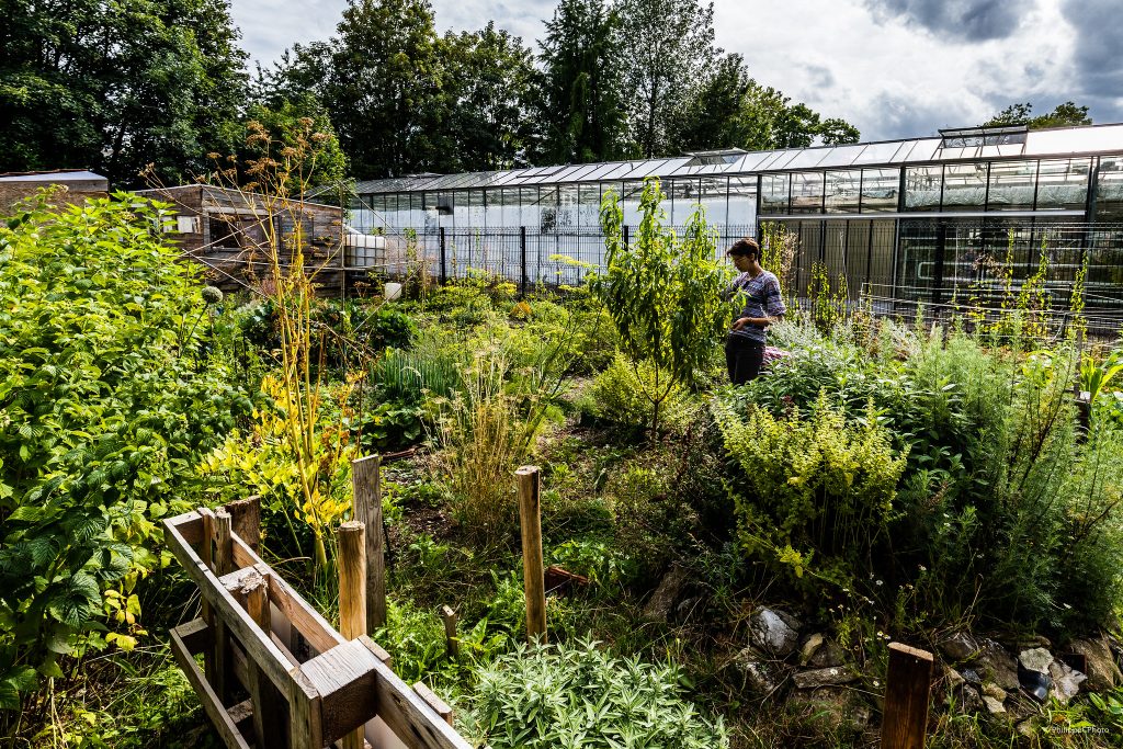 Potager Urbain #09 Le Jardin des Semeurs