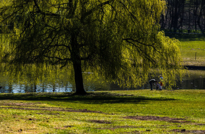 Parc de Woluwe