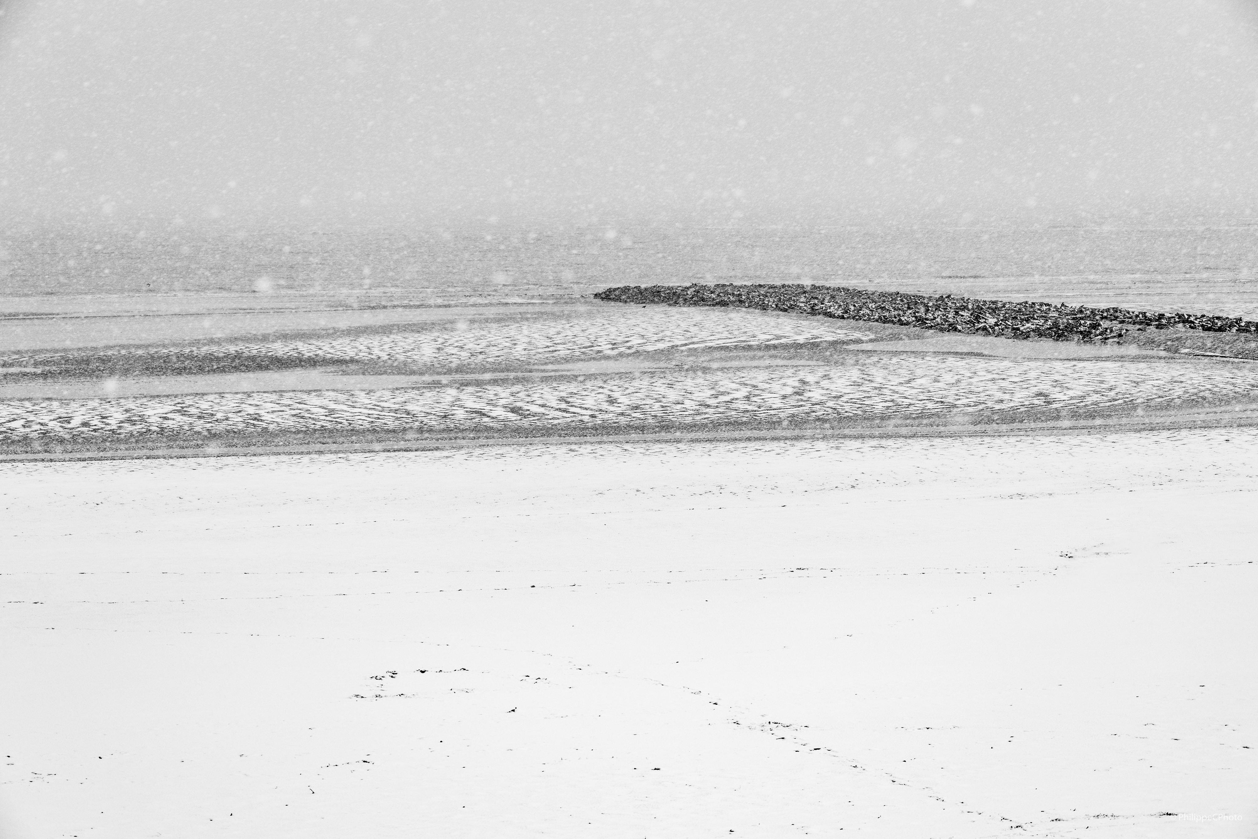 Snowy Koksijde