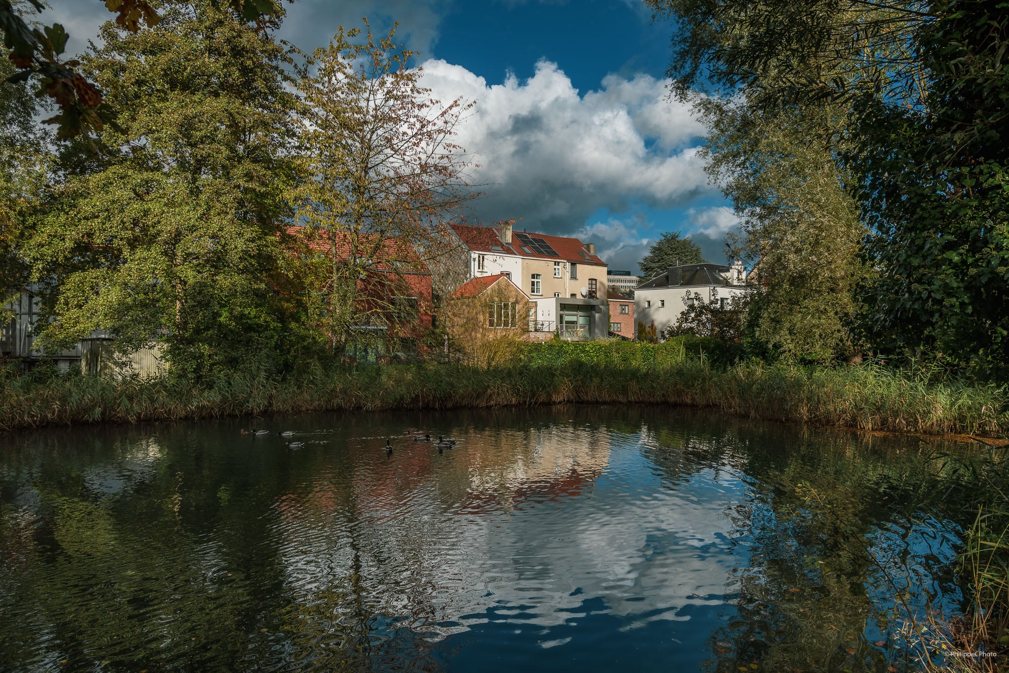 Parcs Bruxellois : Parc de la Héronnière